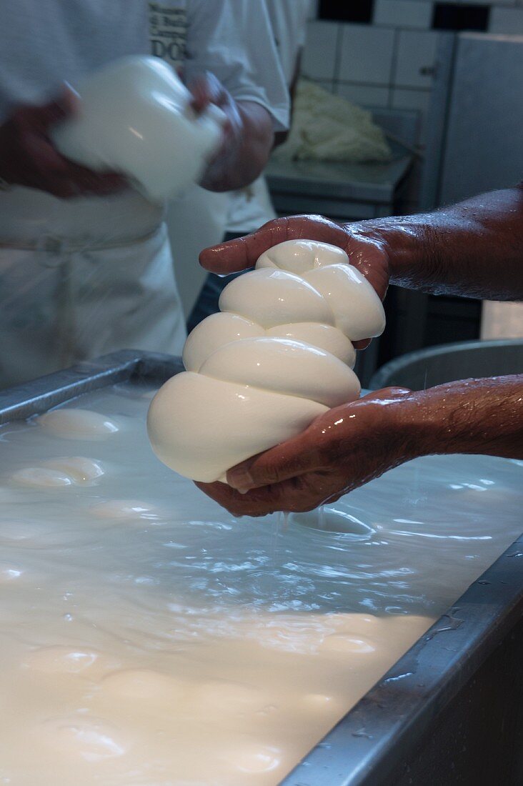 Herstellung von Büffelmozzarella