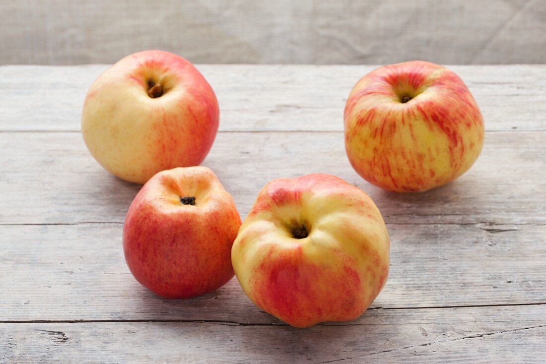 Vier Bio-Äpfel der Sorte Horneburger auf Holzuntergrund
