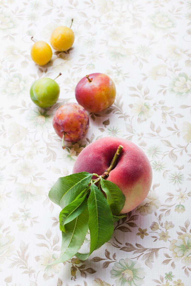 Greengages, yellow plums and a white peach with a leaf