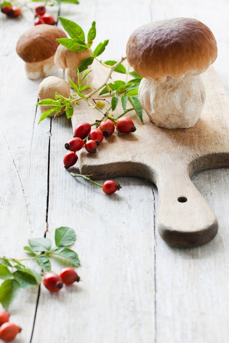 Whole fresh porcini mushrooms with rosehips and leaves on a wooden board and on a wooden surface