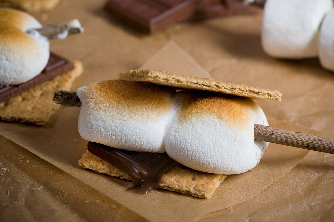 Smores with toasted marshmallows
