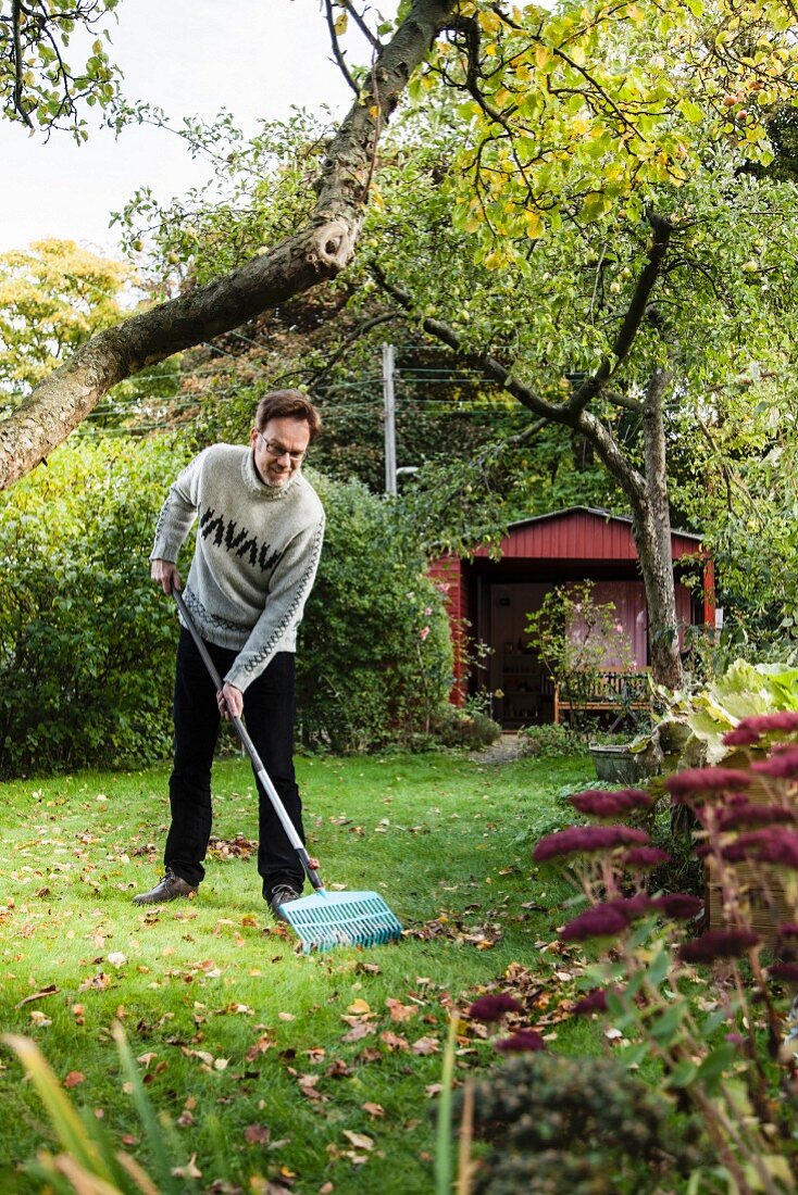 Man raking leaves in garden