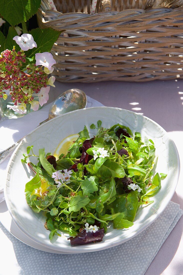 A mixed leaf salad with a mustard dressing and elderflowers for a picnic