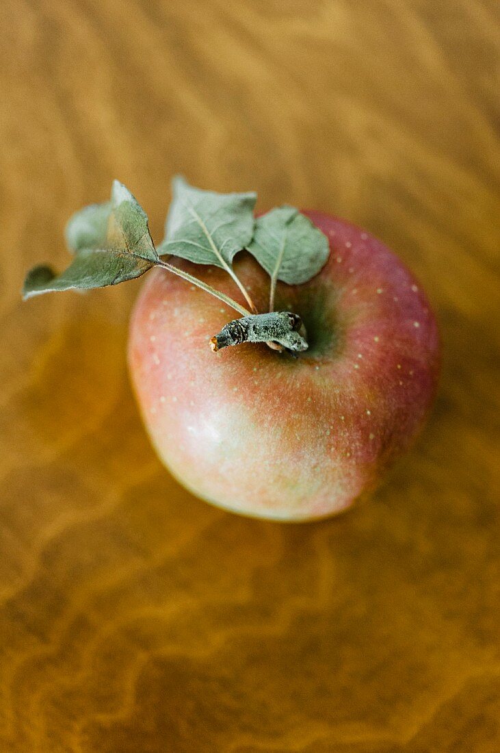 Apfel mit grünen Blättern auf Holzuntergrund (Aufsicht)