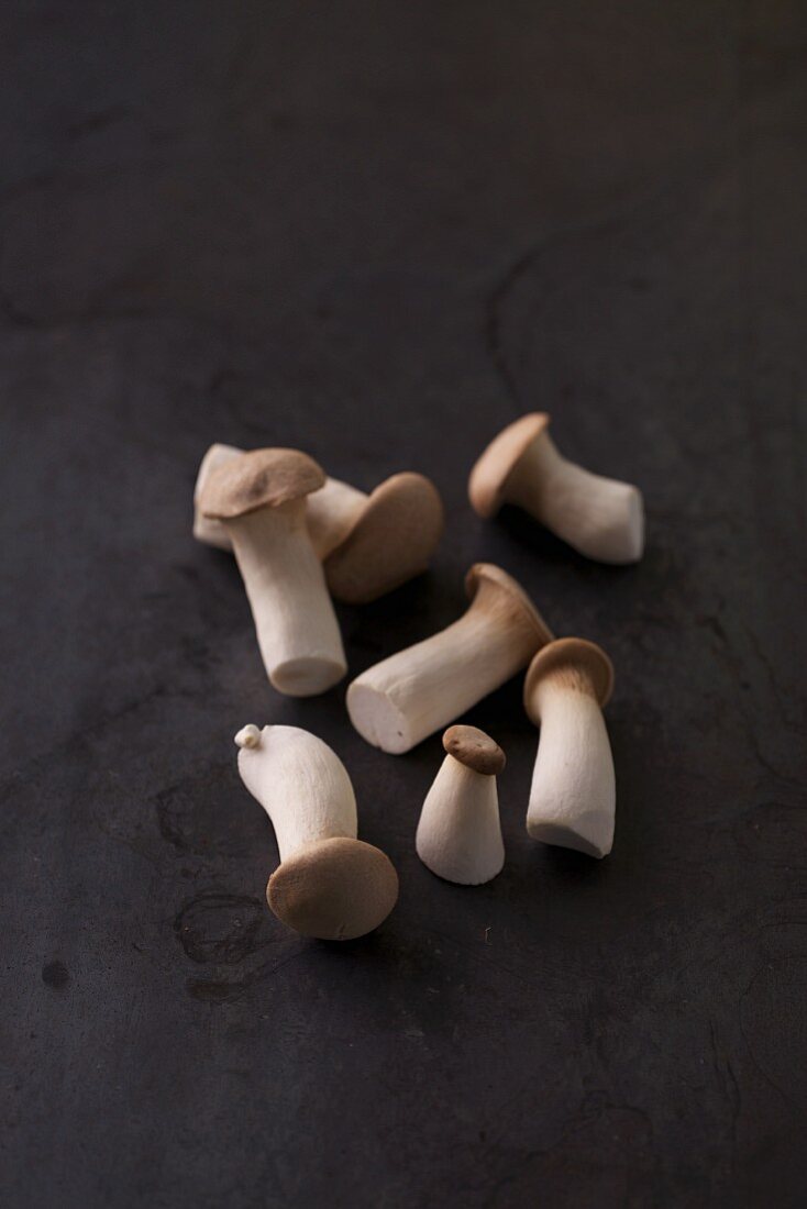 Fresh king trumpet mushrooms
