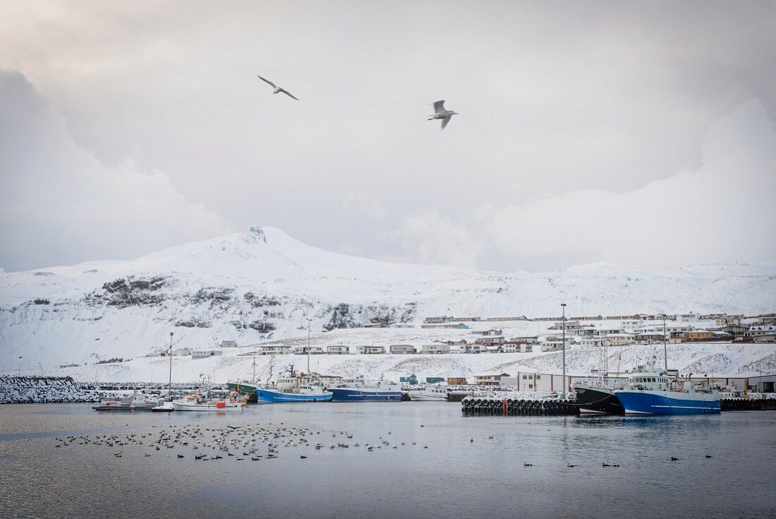 Fischerort Olafsvik im Winter (Snaefellsnes, Island)