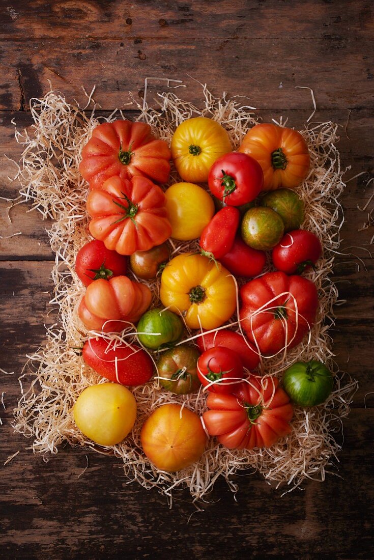 Various types of tomatoes on straw