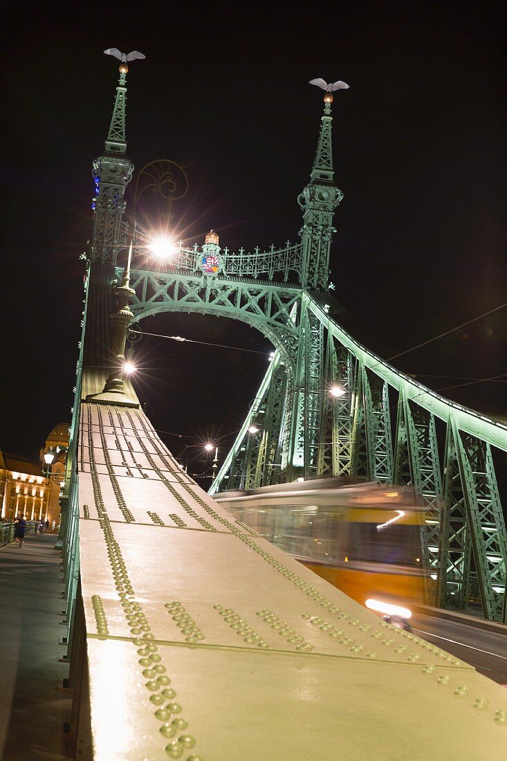 Die Freiheitsbrücke mit Turulvögeln auf den Brückentoren, Budapest, Ungarn