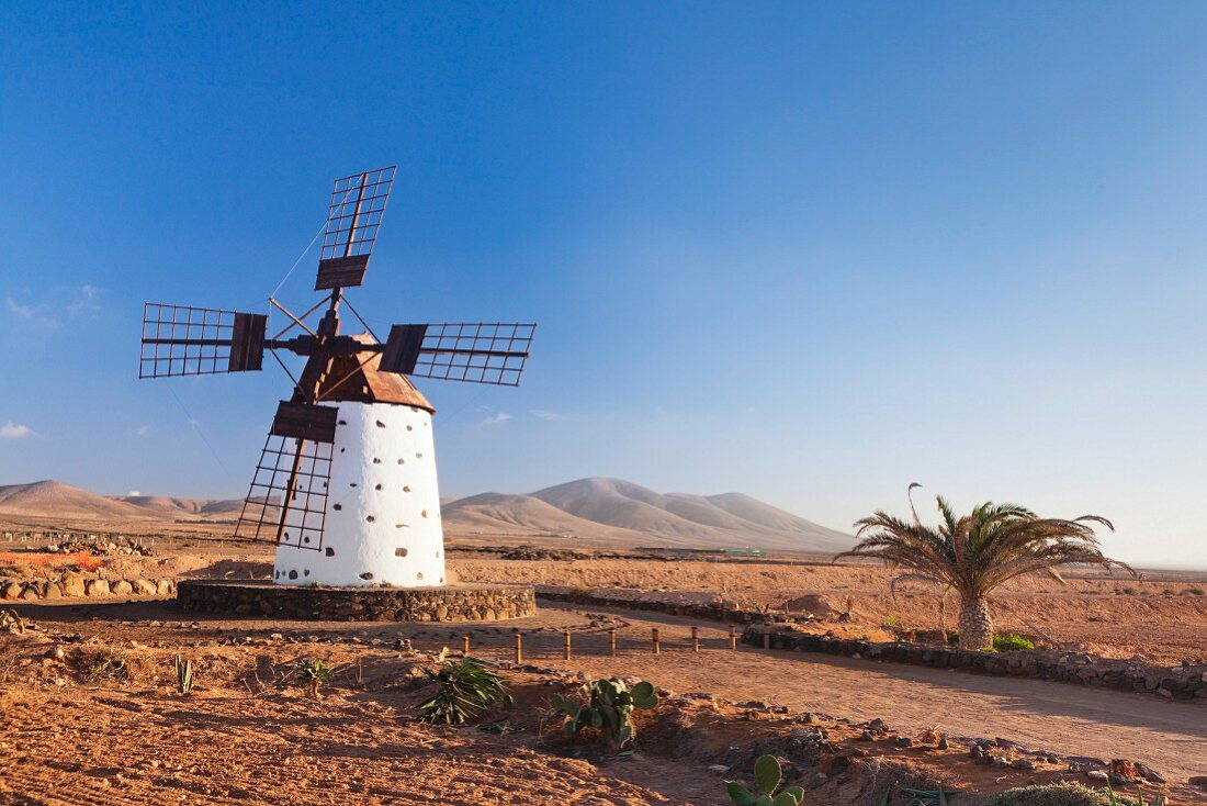 Traditionelle Windmühle auf Fuerteventura; El Cotillo, Kanarische Inseln, Spanien