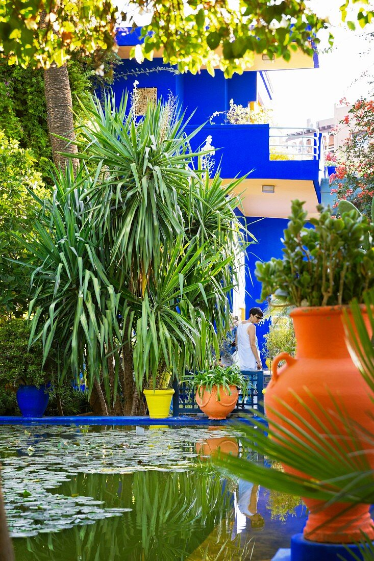 A pond in the in the Jardin Majorelle in Marrakesh in the garden created by the French artist Jacques Majorelle in 1923 using his trademark shade of blue