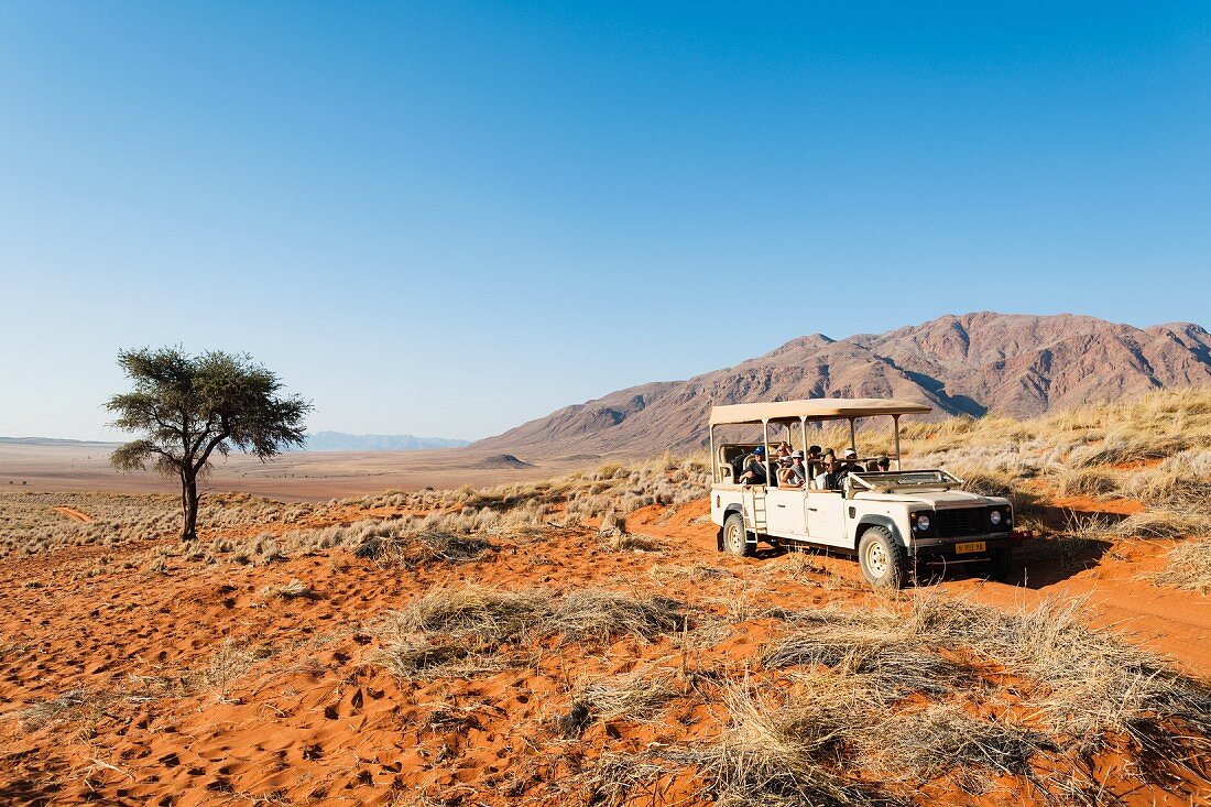 Wolwedans, NamibRand Nature Reserve, Namibia, Africa – visitors coming on a Jeep tour