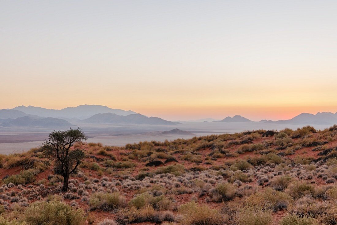 Wolwedans, NamibRand Privatreservat, Namibia, Afrika - 'Dune Camp' im Sonnenaufgang