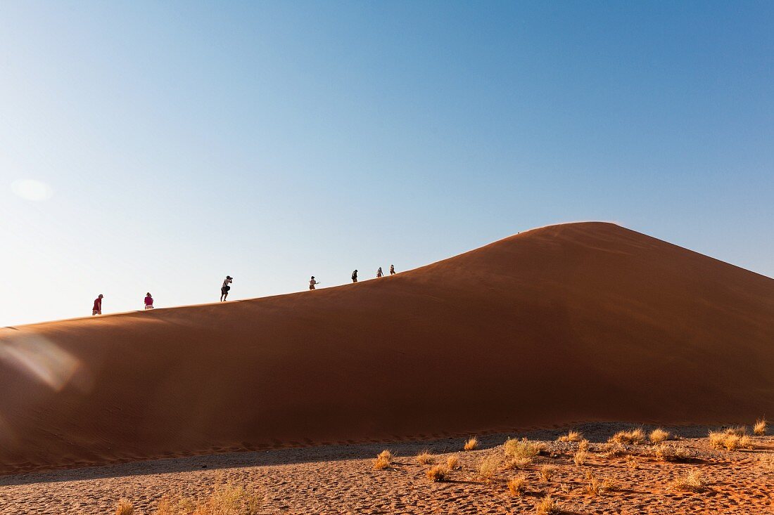 Dunes at Sossusvlei in the Namibian desert - part of the Naukluft National Park, Namibia, Africa