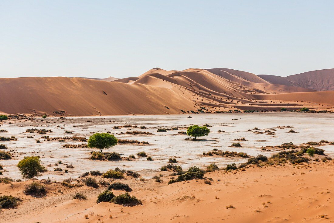 Dunes at the Sossusvlei pan in the Namibian desert – part of the Naukluft National Parks, Namibia, Africa
