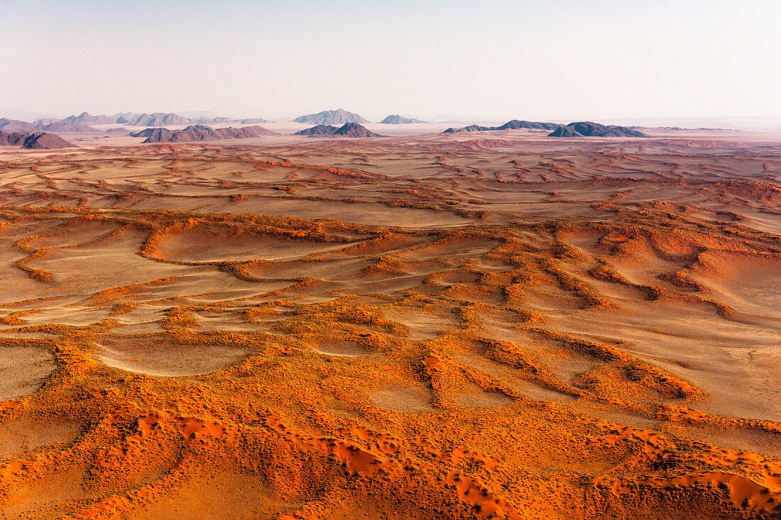 Roter Teppich - je weiter man ins Landesinnere der Namib dringt, desto rötlicher ist der Sand - Namibia, Afrika
