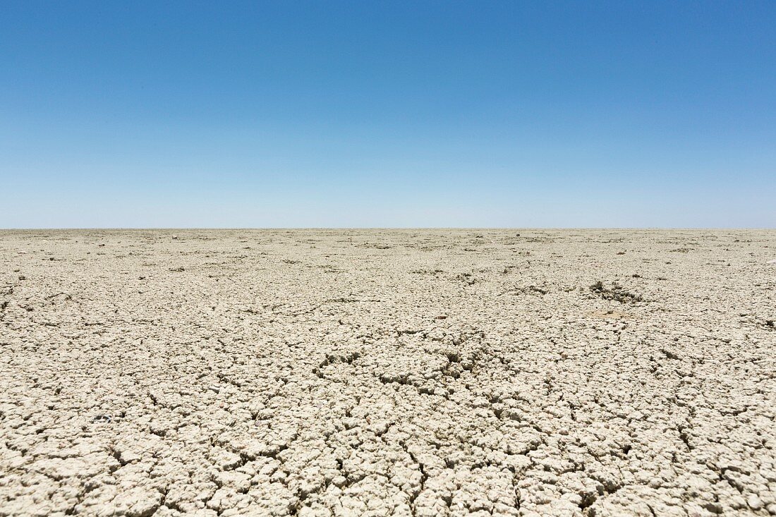 A salt pan in the Etosha National Park, Namibia