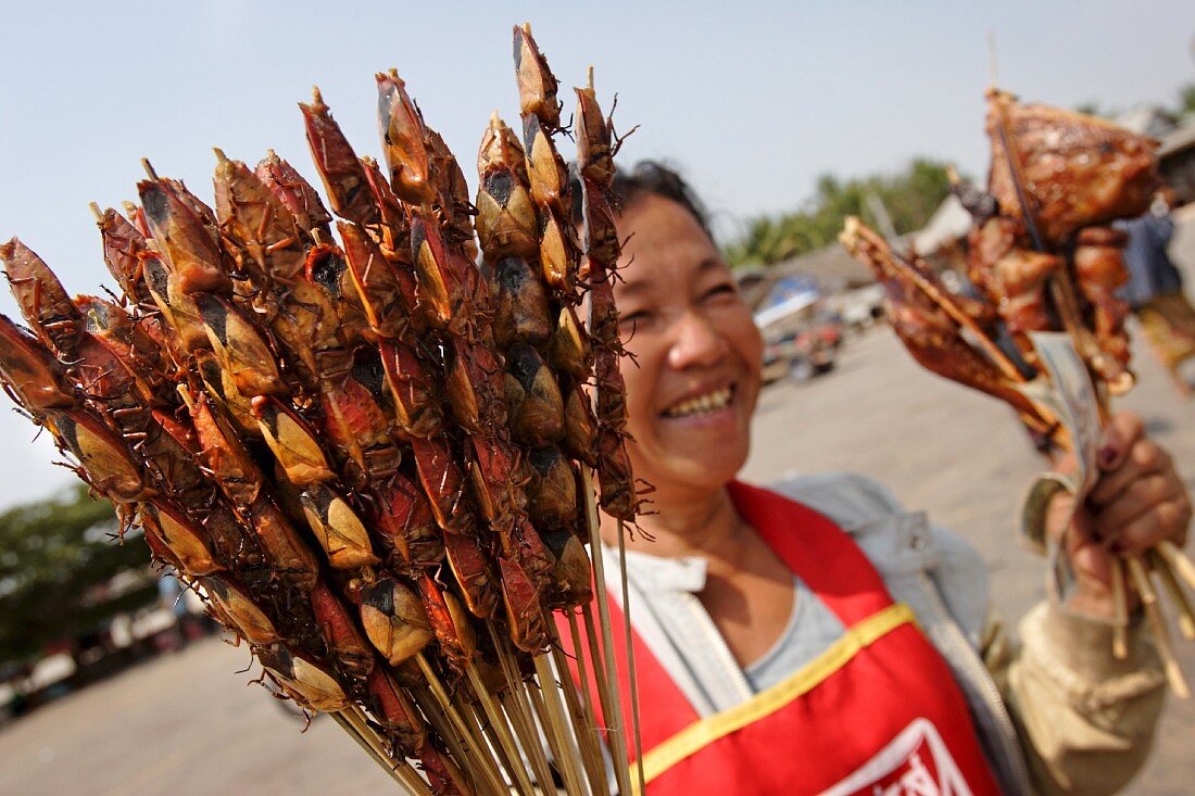 A woman selling beetle skewers at a bus stop in the Savannakhet province, Laos, Indochina, South-East Asia