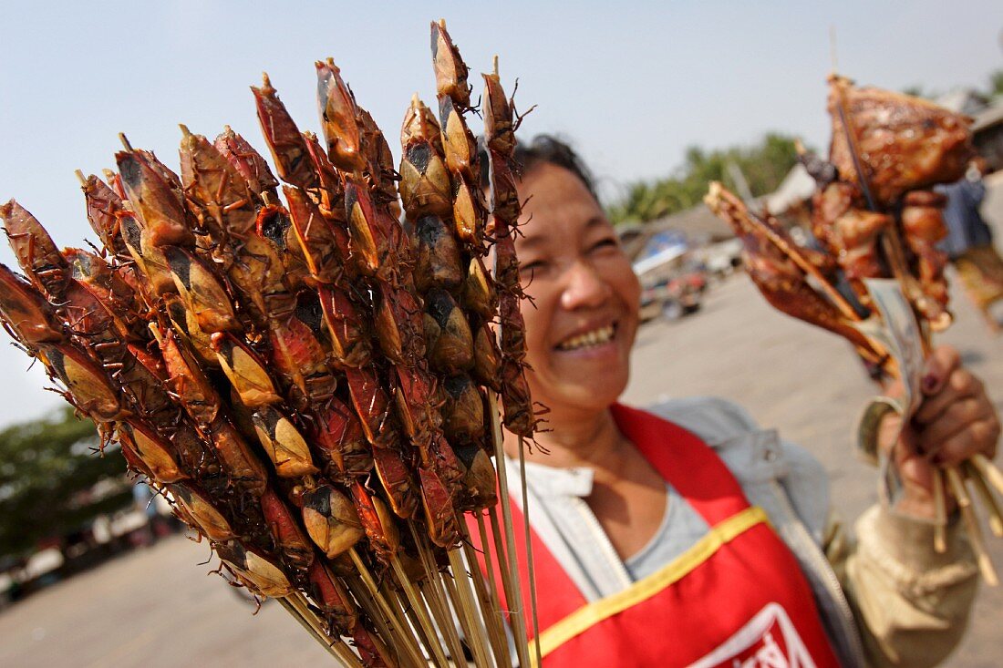 Frau verkauft Käfer-Spiesse an einer Bushaltestelle in der Provinz Savannakhet, Laos, Indochina, Südostasien, Asien