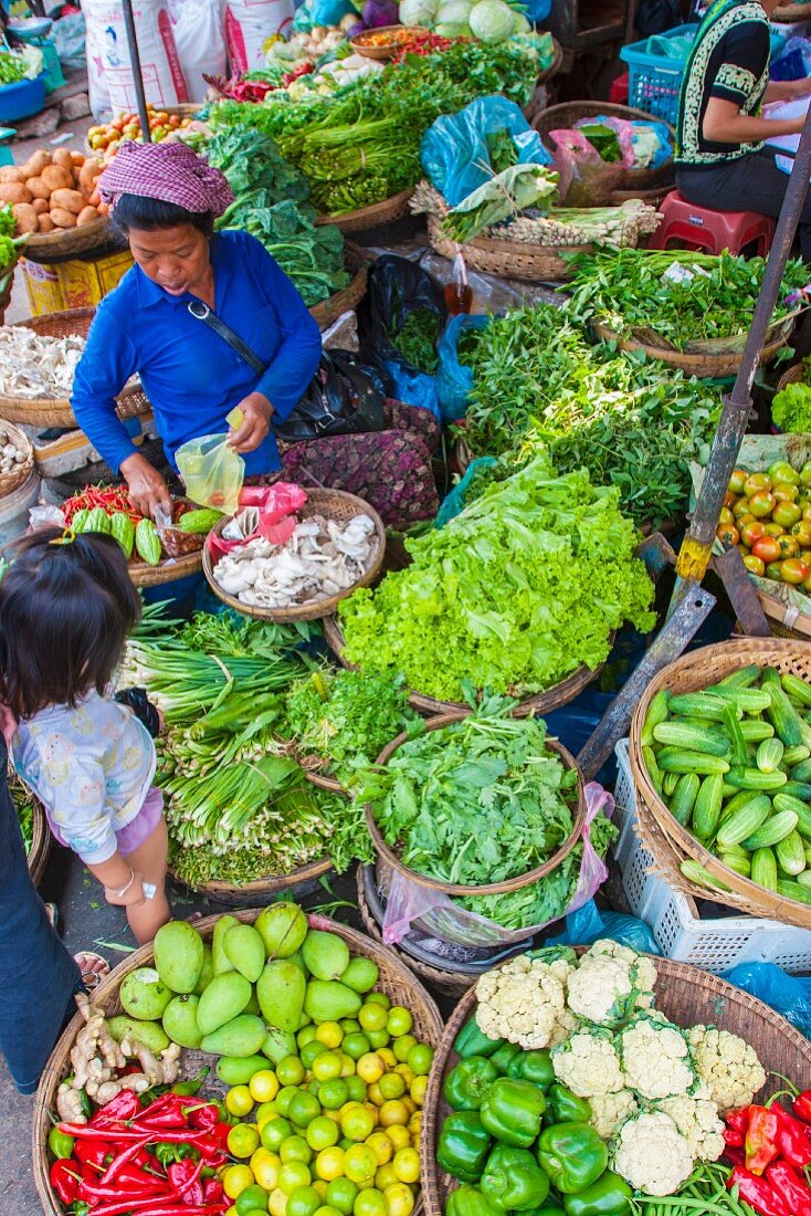 The Central Market in Phnom Penh, Cambodia, Indochina, South-East Asia