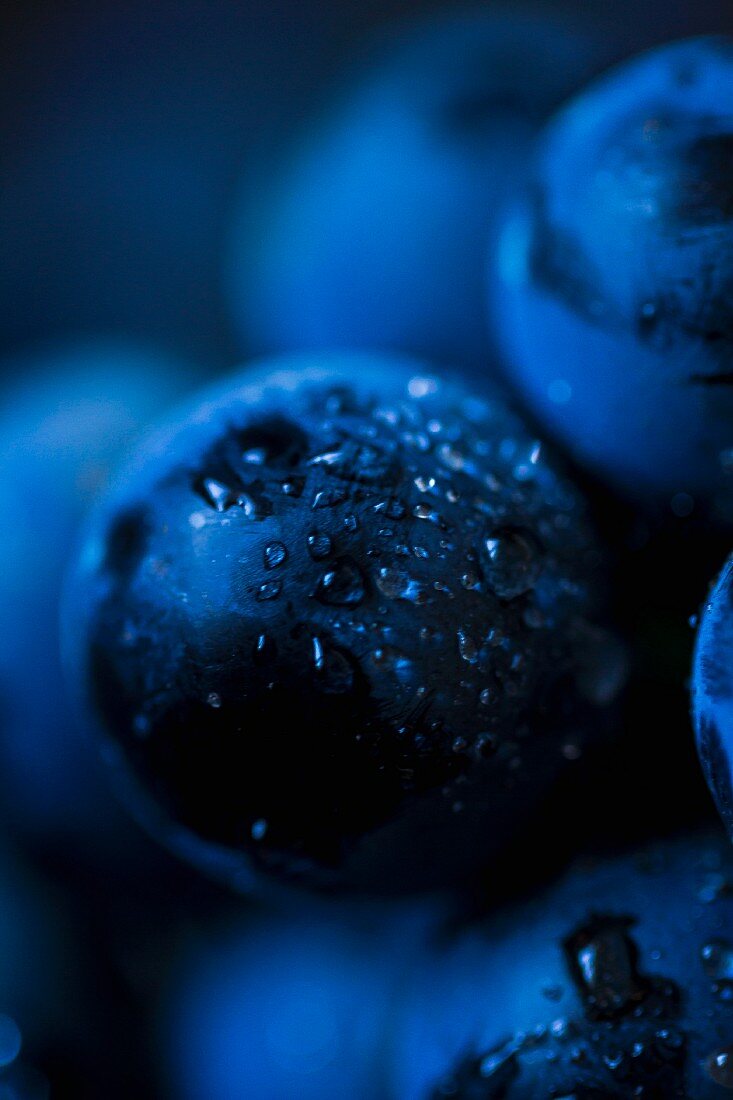 Freshly washed blueberries (detail)
