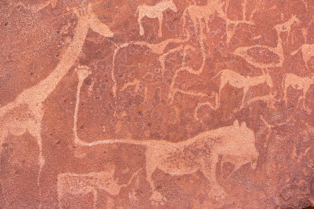 Prähistorische Felszeichnung in Twyfelfontein im Damara-Bergland der Region Kunene in Namibia