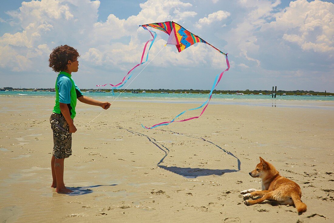 Boy flying kite on beach