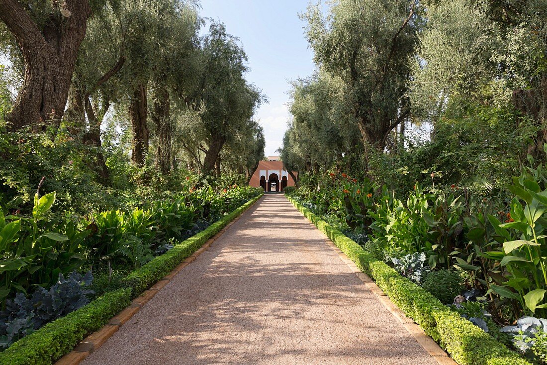 An avenue leading to the Hotel La Mamounia in Marrakesh, Morocco