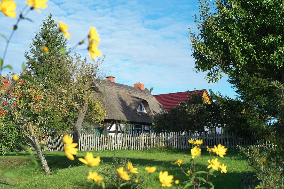 A view of a thatched roof house, Quilitz in Lieper Winkel, Usedom, Mecklenburg-Vorpommern