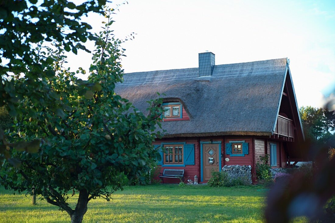 Reetdachhaus mit blauen Fensterläden in Warthe, Usedom, Mecklenburg-Vorpommern