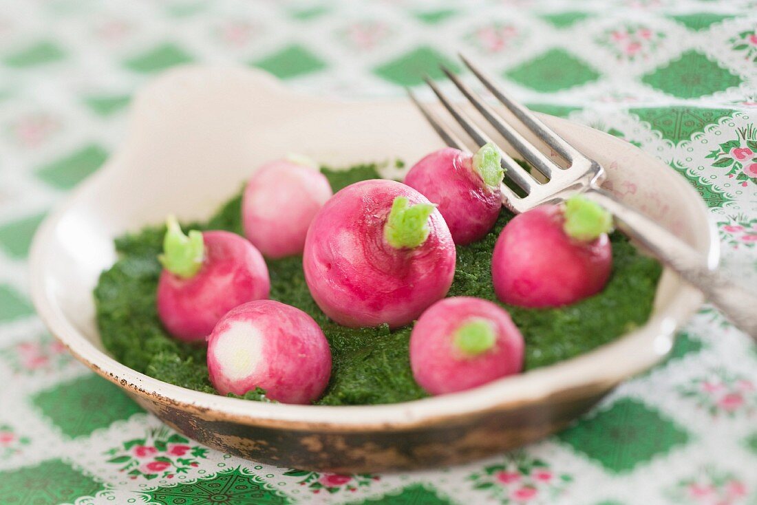 Radishes on a bed of leaves