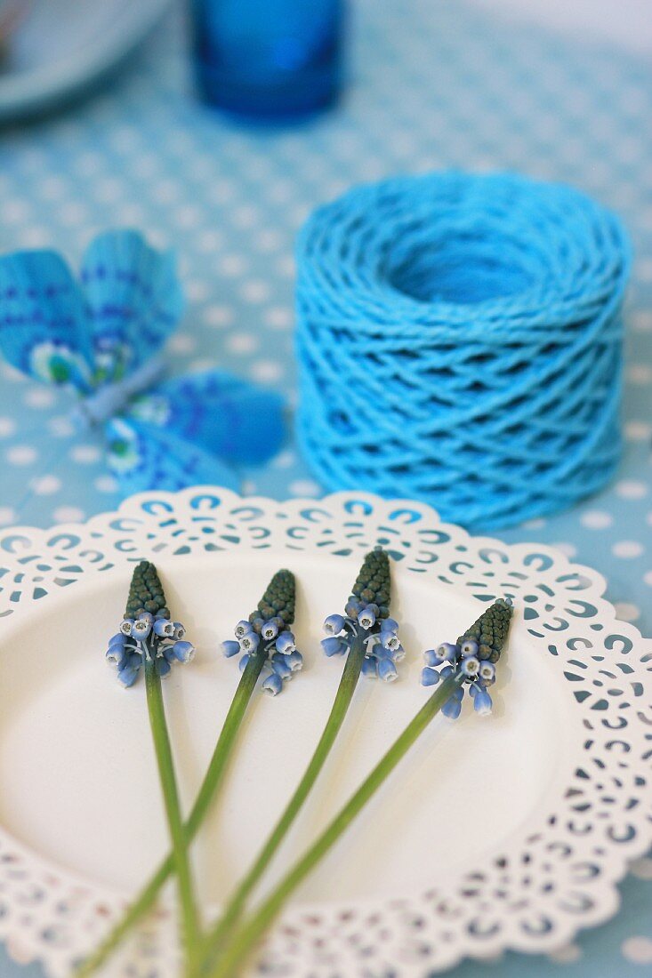 Grape hyacinths on white plate with ornate rim and reel of light blue string
