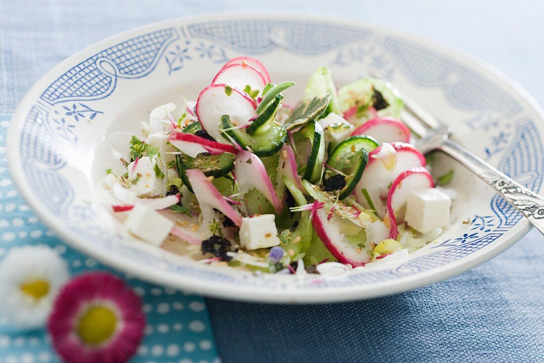 Gurken-Rettich-Salat mit Feta