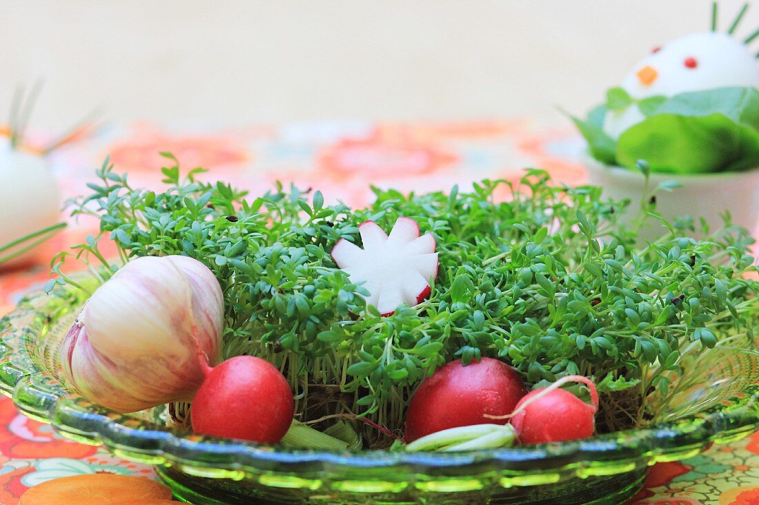 An Easter nest made from cress with carrots, radishes and garlic for an Easter breakfast