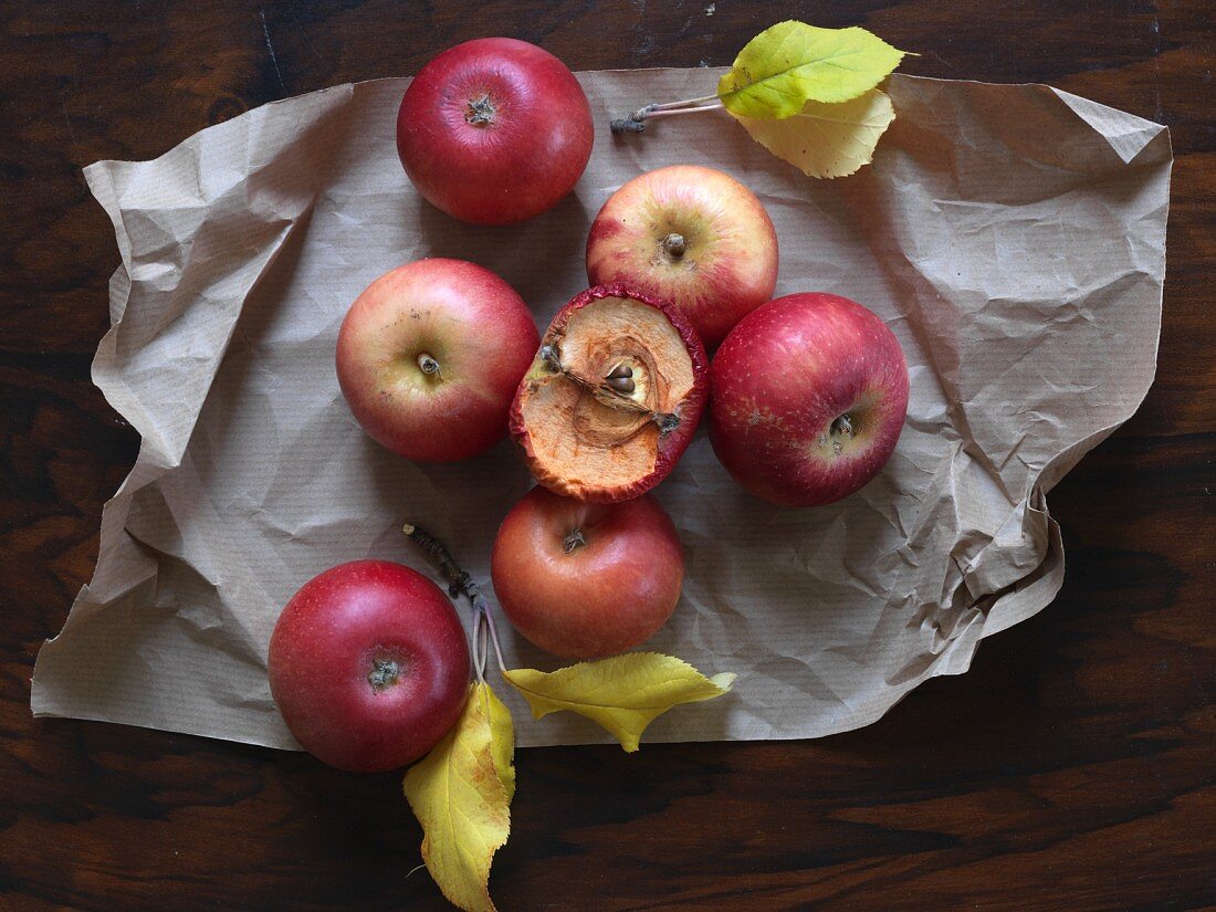 Red apples on a piece of paper, one dried out