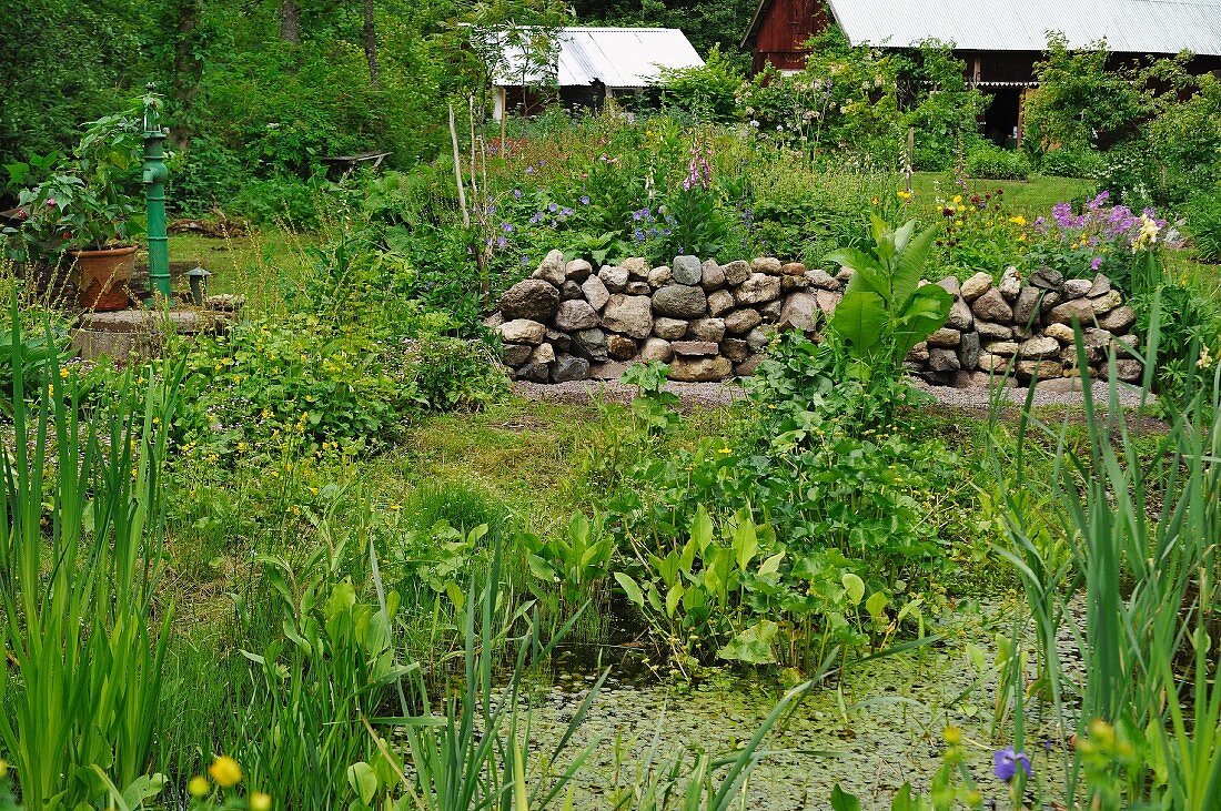 Half-height, rough stone wall in front of flowering plants in summery garden