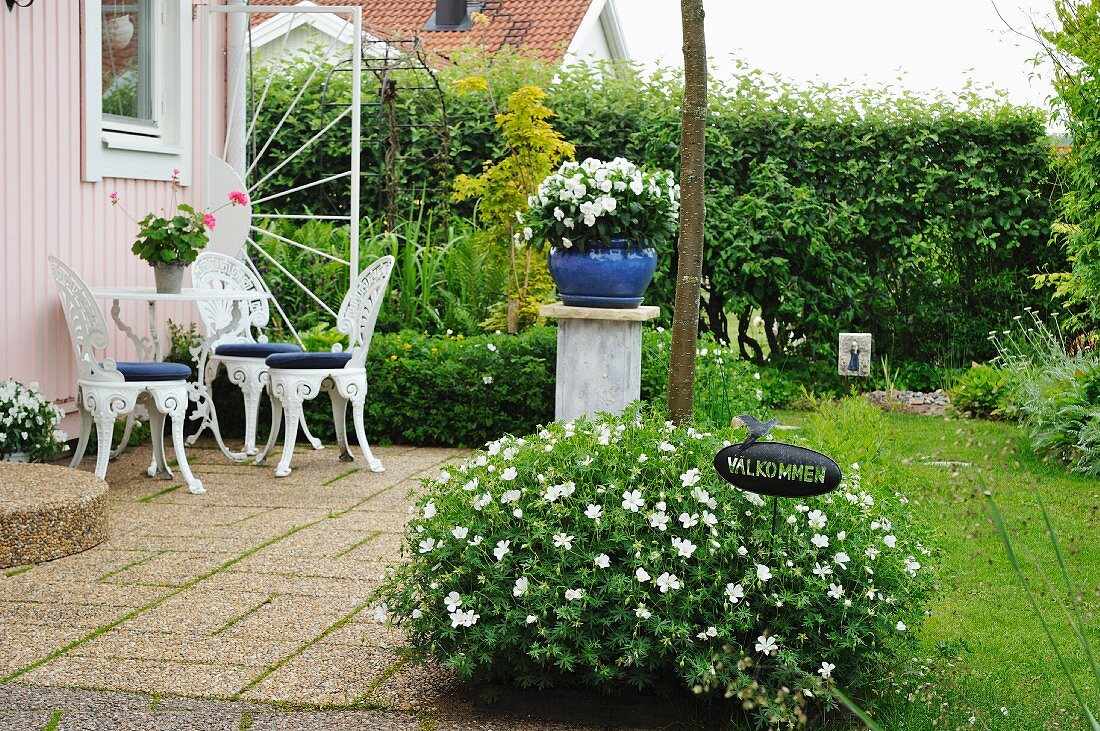 Busch mit weissen Blüten vor Terrasse mit Stühlen und Tisch aus weiss lackiertem Metall