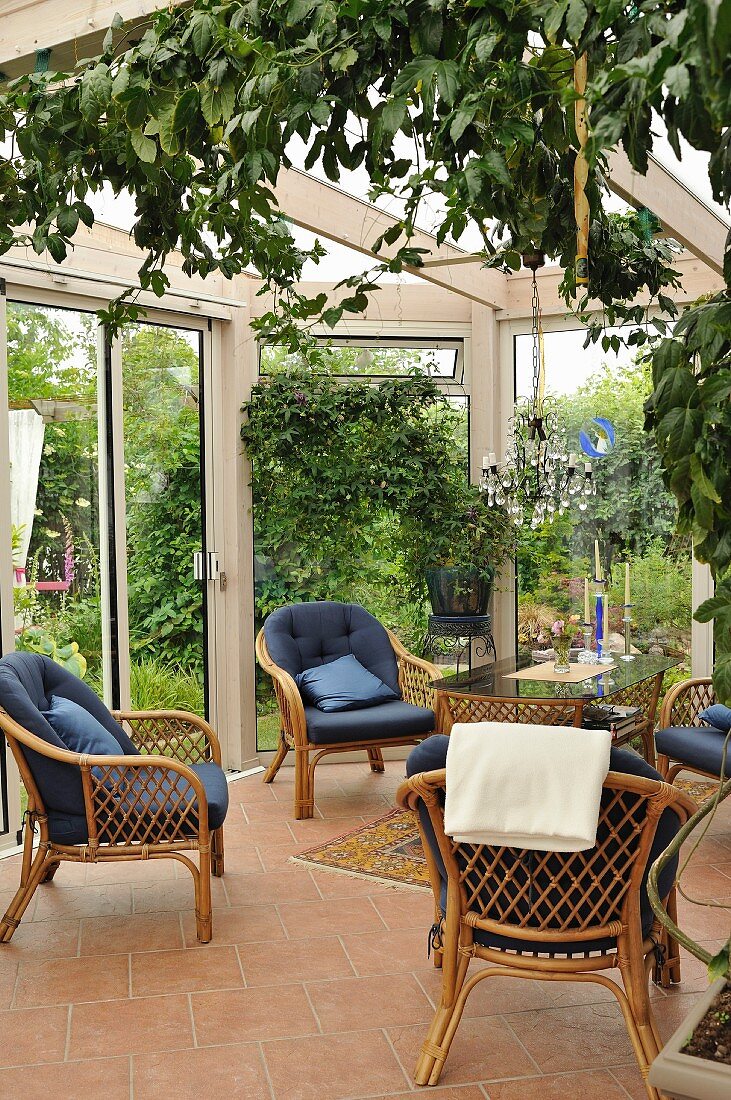 Rattanstühle mit blauen Polstern auf hellen terracottafarbenen Fliesenboden im Wintergarten mit Gartenblick