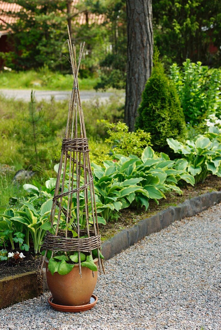 Terracotta pot with wicker obelisk on gravel path in garden