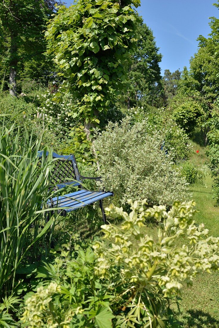 Nostalgische hellblaue Gartenbank in sommerlicher Gartenanlage