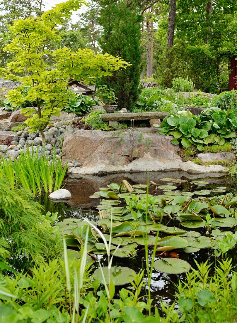 Water lily pond with stone bench on large boulder