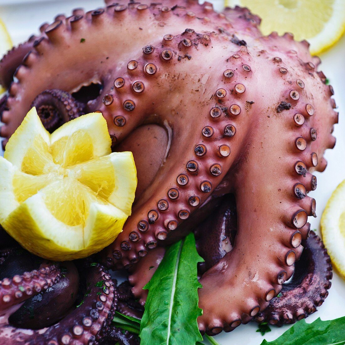 Gekochter Oktopus mit Zitrone