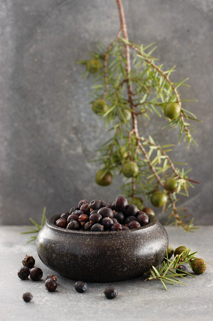 Wacholderbeeren im Schälchen mit Zweig