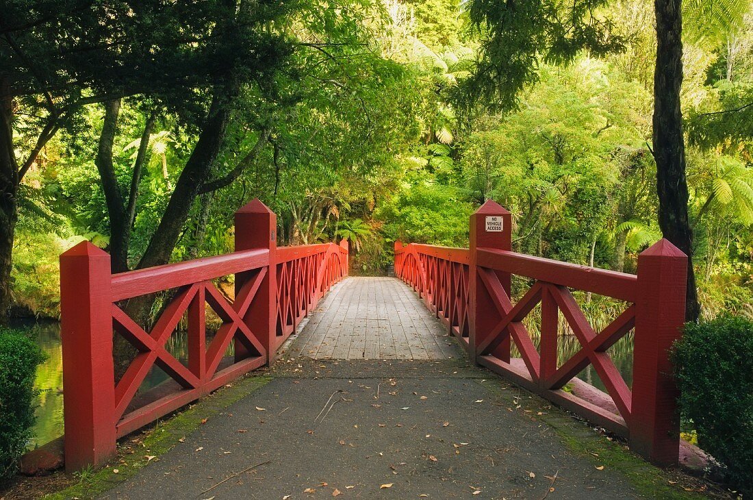 Einsame Holzbrücke im Pukekura Park, New Plymouth; Neuseeland
