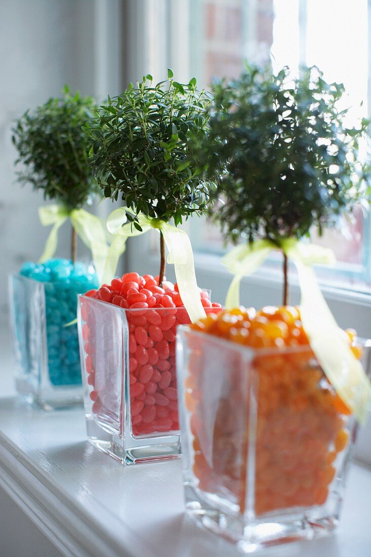 Tiny trees in glass vases of colourful jellybeans