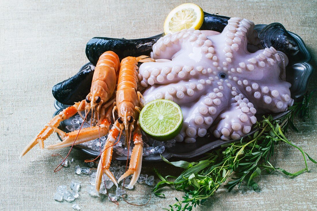 Oktopus und Scampi auf Eis mit Kräutern und Zitrone