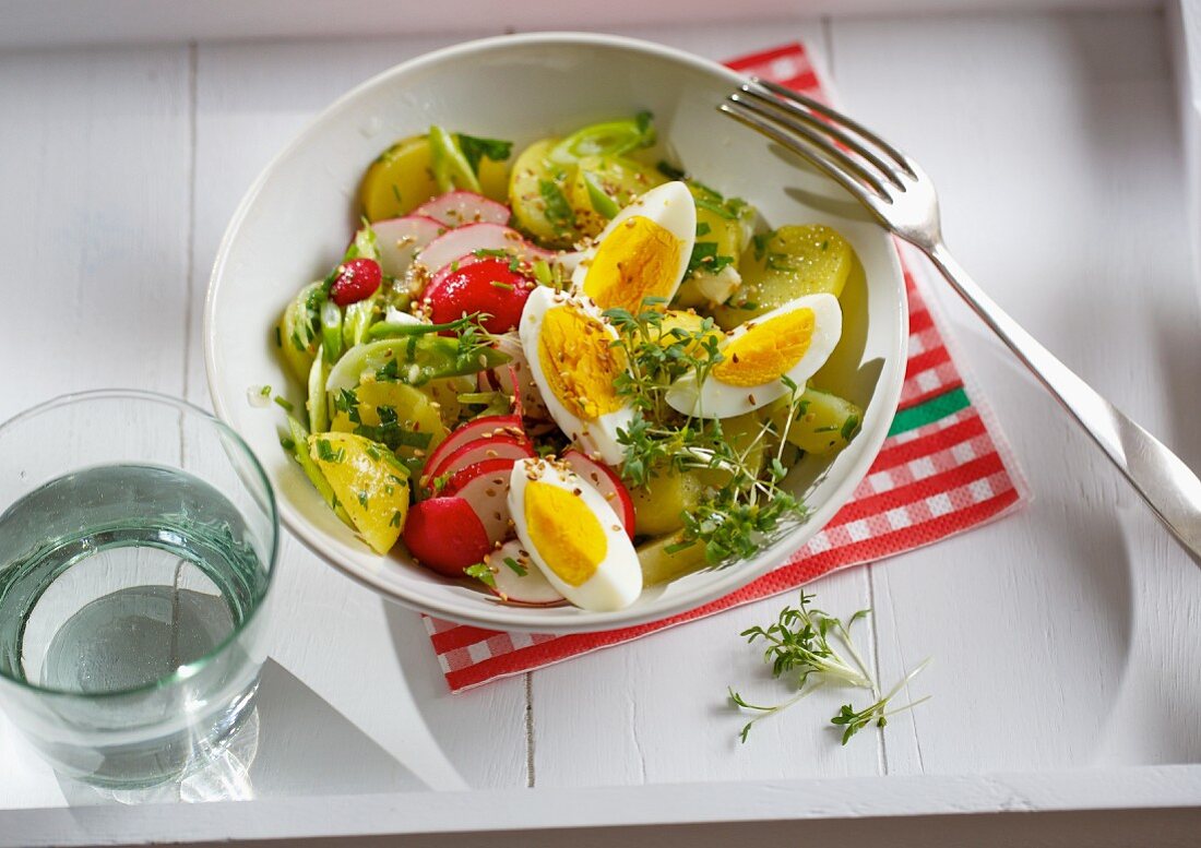 Potato salad with radishes, hard-boiled eggs and fresh garden cress
