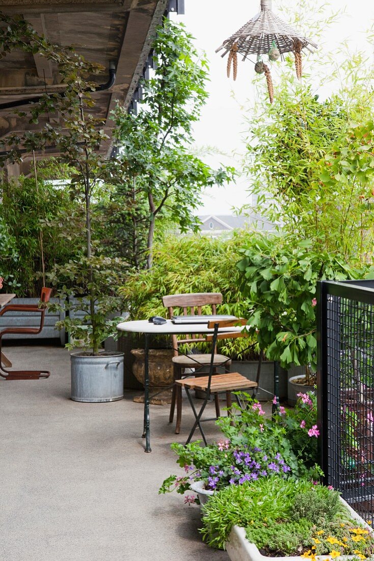 Terrasse eines Lofts mit Pflanzen und Bäumen, dazwischen kleiner Sitzplatz