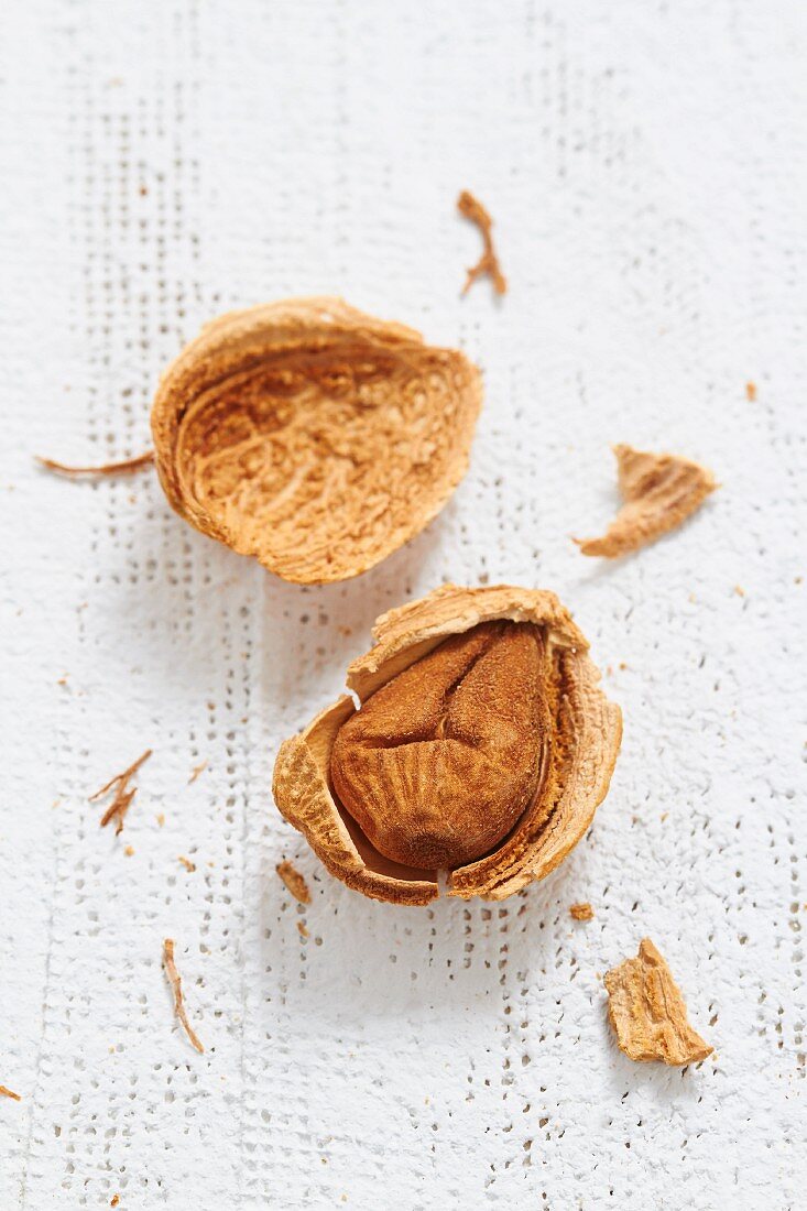 A cracked almond (close-up)