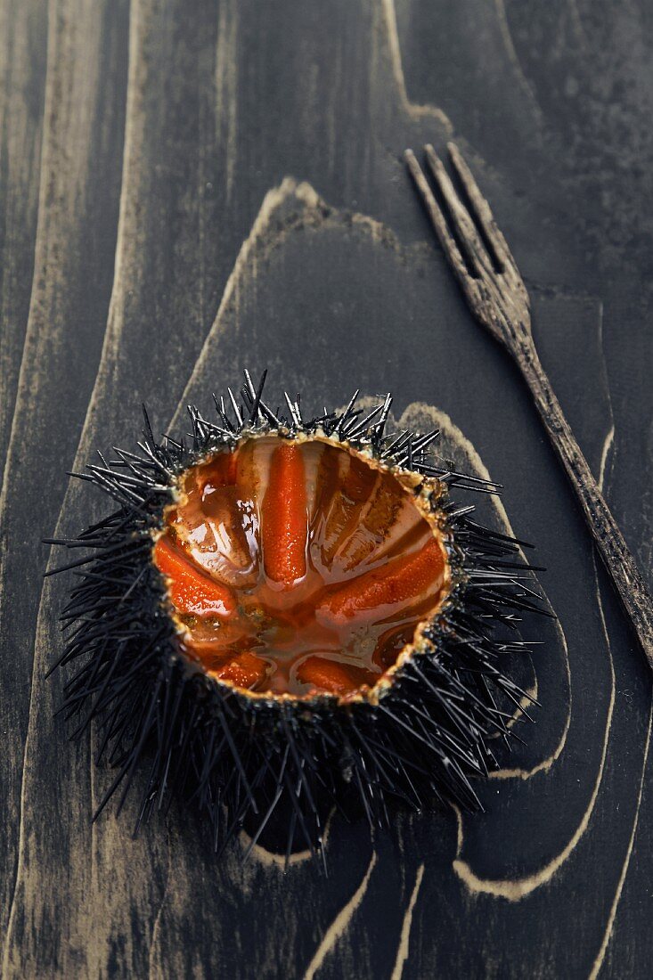 A sea urchin, sliced