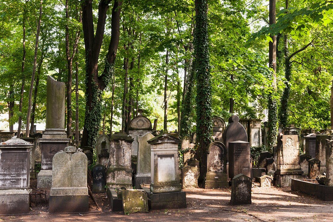 Der Friedhof in der Pulsnitzer Straße in Dresden - der älteste erhaltene jüdische Friedhof in Sachsen